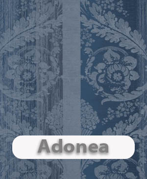 Adonea
